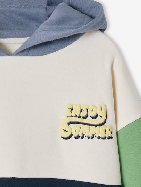 Hooded Colourblock Sweatshirt for Boys multicoloured 