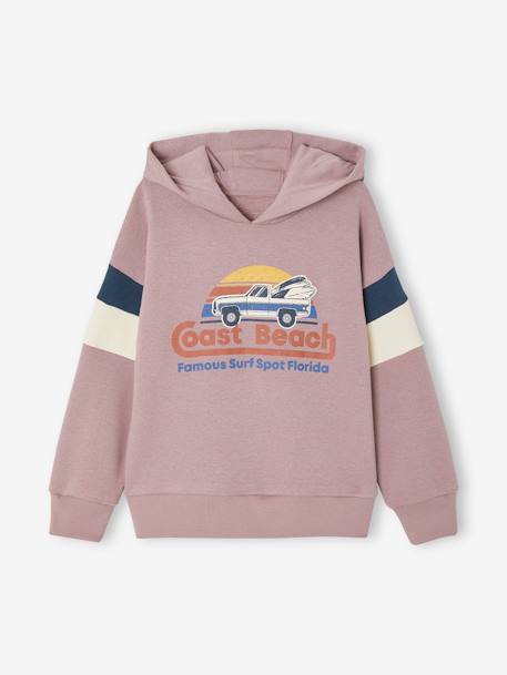 Hoodie with Graphic Motif & Colourblock Sleeves for Boys grey blue+lichen+marl white+mauve 