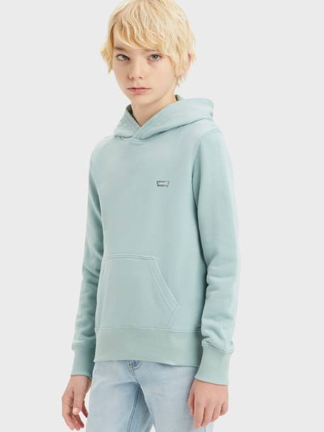 Hooded Sweatshirt for Babies, LVB Mini Batwing by Levi's® almond green+mustard 