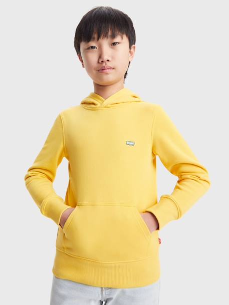 Hooded Sweatshirt for Babies, LVB Mini Batwing by Levi's® almond green+mustard 