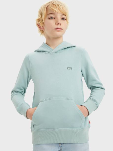 Hooded Sweatshirt for Babies, LVB Mini Batwing by Levi's® almond green+mustard 