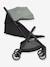 Pact Pro Compact Pushchair, by JOIE black+sage green 