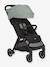 Pact Pro Compact Pushchair, by JOIE black+sage green 