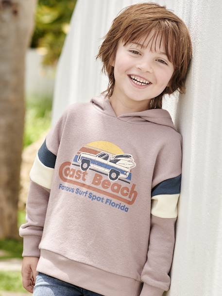 Hoodie with Graphic Motif & Colourblock Sleeves for Boys grey blue+lichen+marl white+mauve 