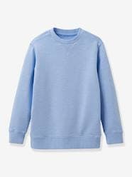 Boys-Cardigans, Jumpers & Sweatshirts-Sweatshirt for Boys, by CYRILLUS