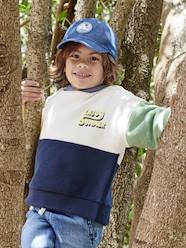 Hooded Colourblock Sweatshirt for Boys