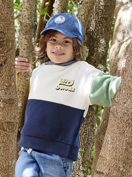 Hooded Colourblock Sweatshirt for Boys multicoloured 