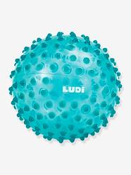 Toys-Baby & Pre-School Toys-Sensory Ball - LUDI