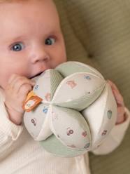 Toys-Grasping ball - LITTLE DUTCH