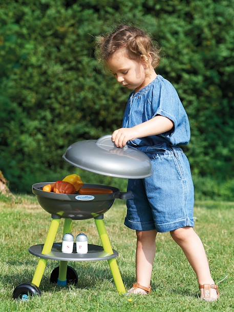 Barbecue Grill - ECOIFFIER multicoloured 