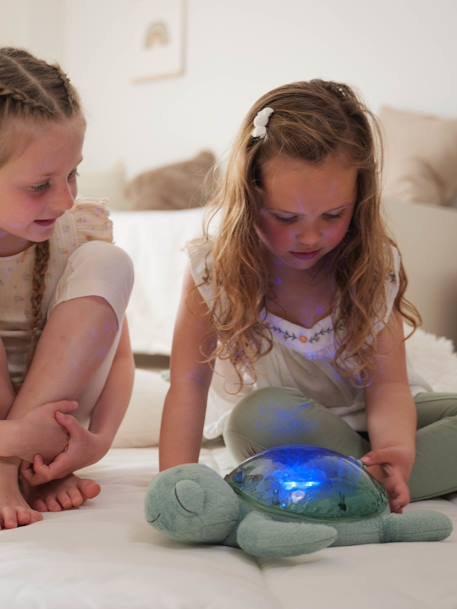 Tranquil Turtle Rechargeable Night Light, by CLOUD B blue+green+violet 