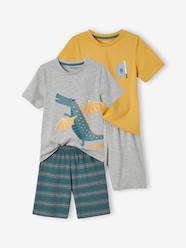 Boys-Nightwear-Pack of 2 Knights & Dragons Short Pyjamas