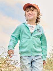 Boys-Cardigans, Jumpers & Sweatshirts-Sweatshirts & Hoodies-Basics Zipped Jacket with Hood for Boys