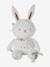 Plush Rabbit Activity Toy sage green 