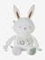 Plush Rabbit Activity Toy sage green 