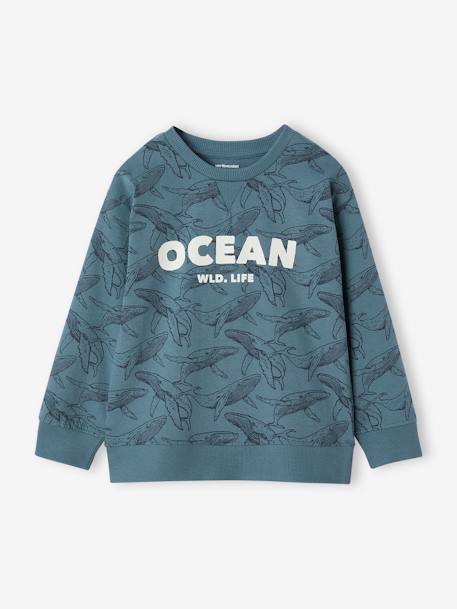 Printed Sweatshirt-Style Top for Boys aqua green+ecru+ochre 