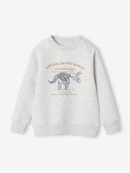 Boys-Cardigans, Jumpers & Sweatshirts-Sweatshirts & Hoodies-Basics Sweatshirt with Graphic Motif for Boys