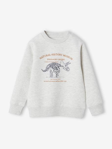 Basics Sweatshirt with Graphic Motif for Boys marl white+medium blue+sage green 