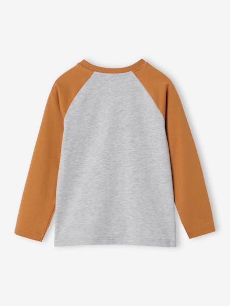 Top with Graphic Motif & Raglan Sleeves for Boys BLUE MEDIUM SOLID WITH DESIGN+lichen+marl grey+pecan nut+slate blue 