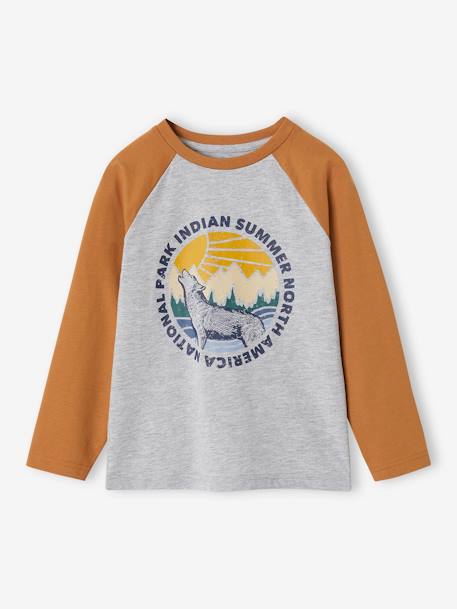 Top with Graphic Motif & Raglan Sleeves for Boys BLUE MEDIUM SOLID WITH DESIGN+lichen+marl grey+pecan nut+slate blue 