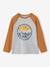 Top with Graphic Motif & Raglan Sleeves for Boys BLUE MEDIUM SOLID WITH DESIGN+lichen+marl grey+pecan nut+slate blue 