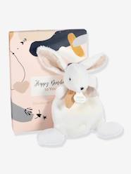 Toys-Happy 17 cm Flat Comforter - DOUDOU ET COMPAGNIE