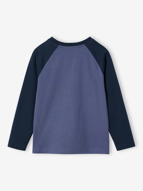 Top with Graphic Motif & Raglan Sleeves for Boys BLUE MEDIUM SOLID WITH DESIGN+lichen+marl grey+pecan nut+slate blue 