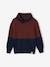 Jumper with Iridescent Neck, in Fancy Colourblock Knit, for Boys Brown+Dark Blue+navy blue 