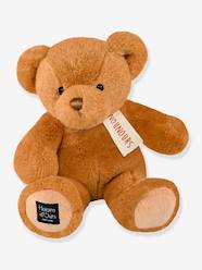 -Stuffed Teddy Bear, Nounours - HISTOIRE D'OURS