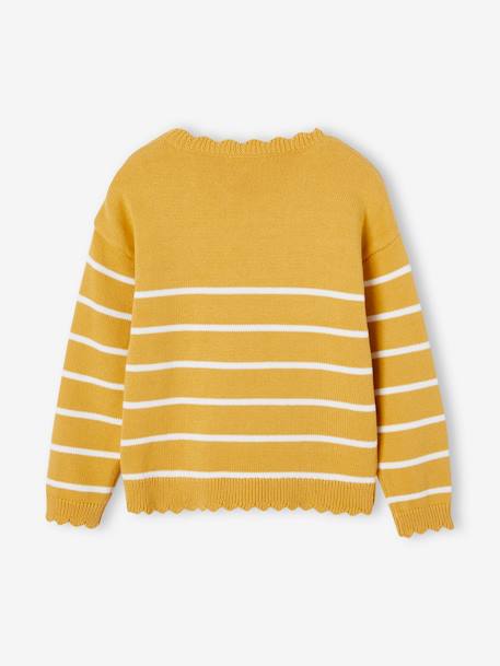 Fancy Striped Jumper for Girls mustard+navy blue+old rose+striped navy blue 