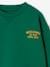 Sweatshirt with Large School Bus Motif on the Back for Boys green 