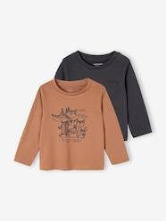 Baby-T-shirts & Roll Neck T-Shirts-T-Shirts-Pack of 2 Long Sleeve Basics Tops for Babies