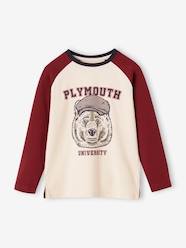 Boys-Bear Top with Contrasting Raglan Sleeves