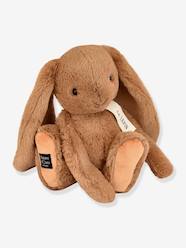 Toys-Baby & Pre-School Toys-Cuddly Toys & Comforters-Bunny Soft Toy - HISTOIRE D'OURS