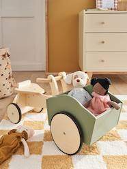 Toys-Outdoor Toys-Tricycle in Certified Wood