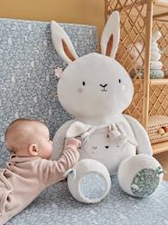 Toys-Baby & Pre-School Toys-Cuddly Toys & Comforters-Plush Rabbit Activity Toy