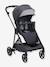 Seety Pushchair by CHICCO grey 