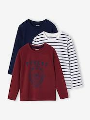 Boys-Tops-T-Shirts-Pack of 3 Assorted Long Sleeve Tops for Boys