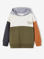 Boys-Cardigans, Jumpers & Sweatshirts-Sweatshirts & Hoodies-Colourblock Hoodie for Boys, Basics