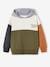 Colourblock Hoodie for Boys, Basics multicoloured+olive 