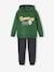 Sports Combo: Hoodie & Joggers for Boys green+grey blue+pecan nut 