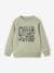 Basics Sweatshirt with Graphic Motif for Boys marl white+medium blue+sage green 