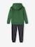 Sports Combo: Hoodie & Joggers for Boys green+grey blue+pecan nut 