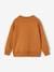 Sweatshirt with Chest Motif for Boys English green+pecan nut 