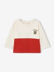 Baby-T-shirts & Roll Neck T-Shirts-T-Shirts-Colourblock Top in Organic Cotton, for  Babies