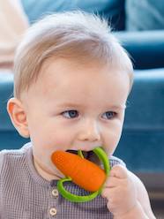 Toys-Baby & Pre-School Toys-Early Learning & Sensory Toys-Carrot Teether in Silicone by INFANTINO