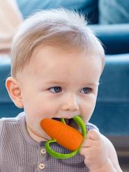 Toys-Carrot Teether in Silicone by INFANTINO