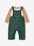 Top + Dungarees Outfit for Baby Boys fir green 