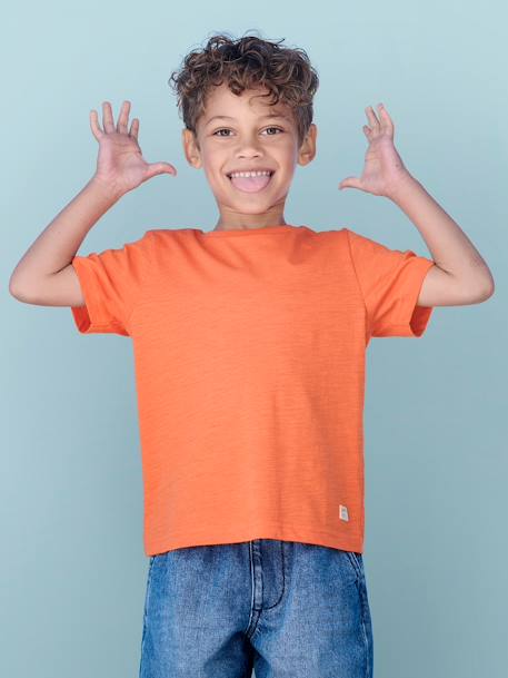 Short Sleeve T-Shirt, for Boys Blue+navy blue+tangerine+white 