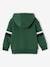 Hooded Jacket with Zip, Sherpa Lining, for Boys anthracite+green+navy blue 